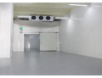 嘉興同濟環境研究院科研低溫冷藏庫工程建造方案