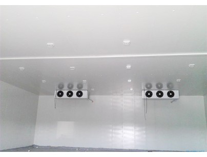 浙江修正藥業醫藥冷庫(藥品冷藏庫)建造工程案例