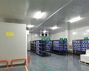 廣州體外診斷試劑冷庫gsp認證標準,醫用試劑冷庫配置解決方案