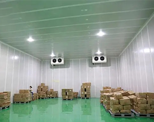4500㎡藥品冷鏈物流冷庫設計方案，冷庫預算多少錢