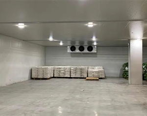 5000噸蔬菜冷庫(kù)投資多少錢(qián)