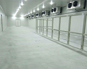 裝100噸凍貨冷庫需要建多大平米，建一個多少錢