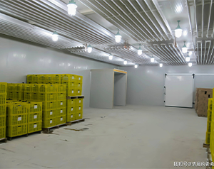 建設一個150平米氣調庫，大概需要多少資金