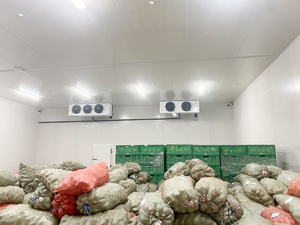 建一個十萬斤（50噸）的冷庫造價大概需要多少錢？
