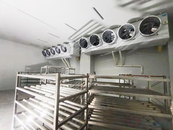 建造1000立方冷凍庫配多大壓縮機？造價預算多少錢？