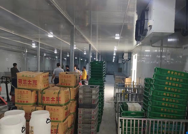 2000平米土豆冷庫(kù)竟要200多萬？揭秘氣調(diào)保鮮庫(kù)天價(jià)背后！